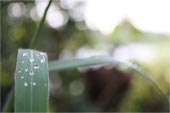 软件中心便捷的虚拟号码手机号发送平台